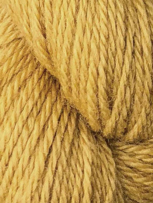 Roccoco Bundle