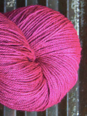 Lakelet Bundle