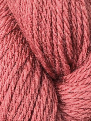 NORTHIAM DK - Rosehip