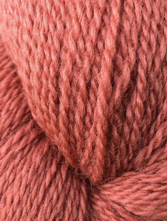 Amber Wheat Sweater Bundle